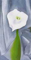 Calla Lilyon Grey